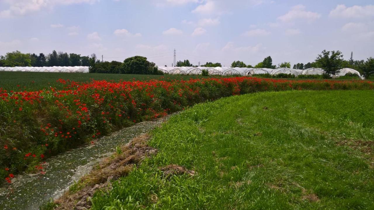 Agriturismo Cipolli E Podo Corte Carlini Mantua Zewnętrze zdjęcie