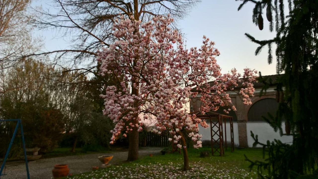 Agriturismo Cipolli E Podo Corte Carlini Mantua Zewnętrze zdjęcie