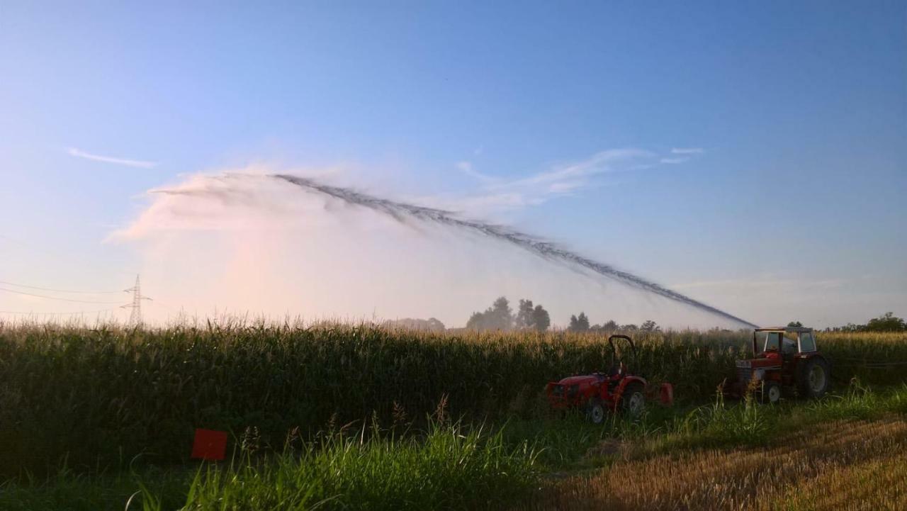Agriturismo Cipolli E Podo Corte Carlini Mantua Zewnętrze zdjęcie