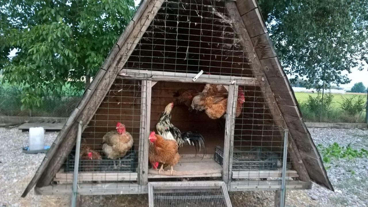 Agriturismo Cipolli E Podo Corte Carlini Mantua Zewnętrze zdjęcie