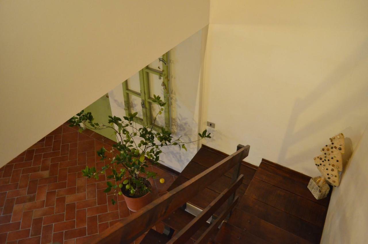 Agriturismo Cipolli E Podo Corte Carlini Mantua Zewnętrze zdjęcie