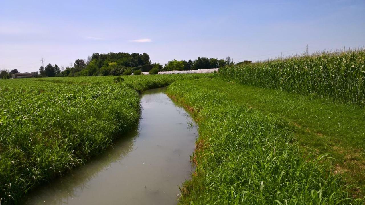 Agriturismo Cipolli E Podo Corte Carlini Mantua Zewnętrze zdjęcie