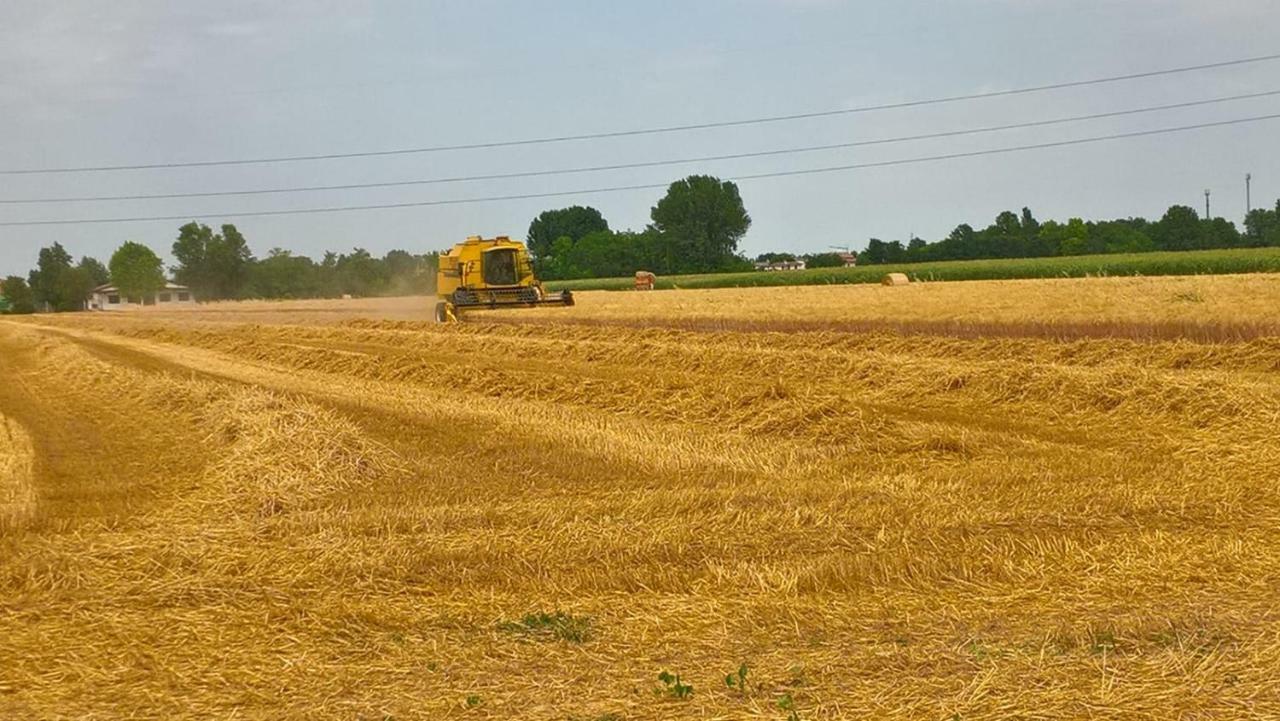 Agriturismo Cipolli E Podo Corte Carlini Mantua Zewnętrze zdjęcie